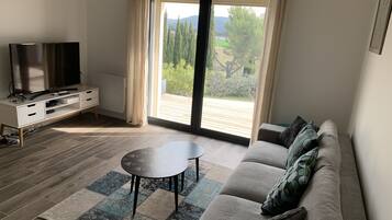 TV connectée, cheminée, lecteur de DVD, table de tennis de table