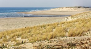 Plage à proximité