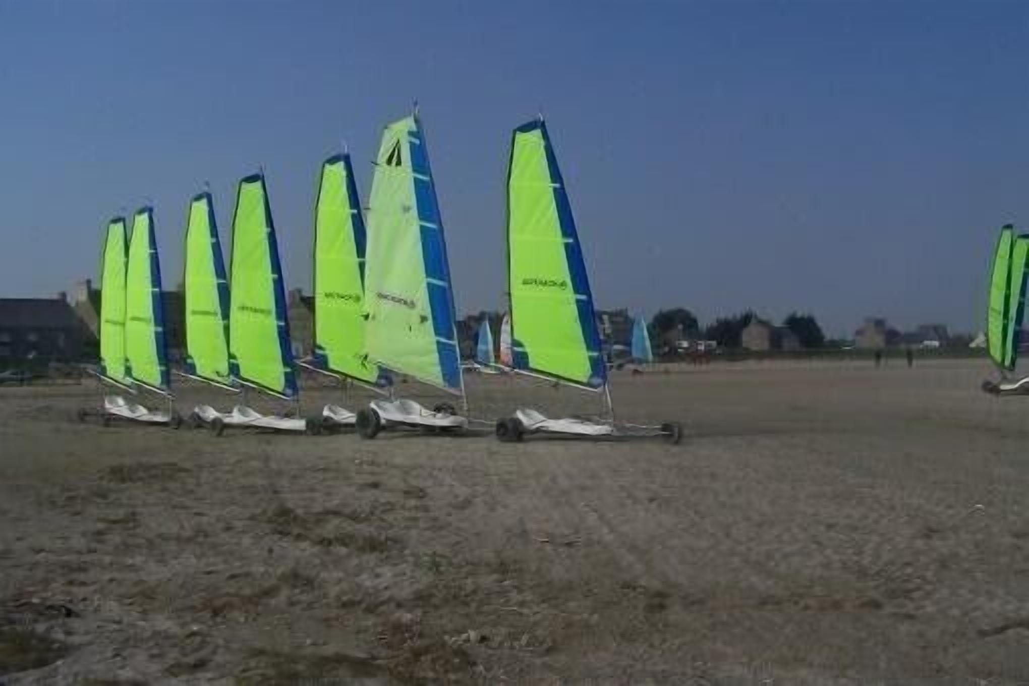 A row of windsurfing boards with bright green sails on a sandy field.