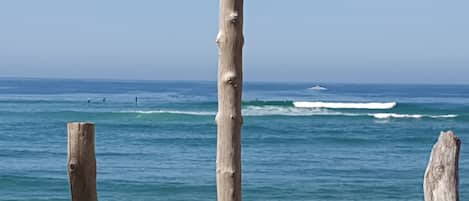 Playa en los alrededores 