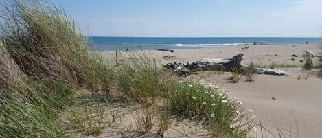 بالقرب من الشاطئ