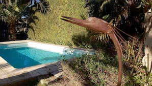 A swimming pool surrounded by lush greenery and palm trees.
