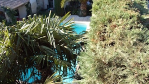 A pool surrounded by lush greenery and a building with a tiled roof.
