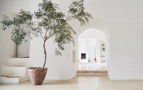 Magnificent house with swimming pool in the middle of 4 hectares of olive trees