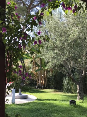 Áreas de la propiedad