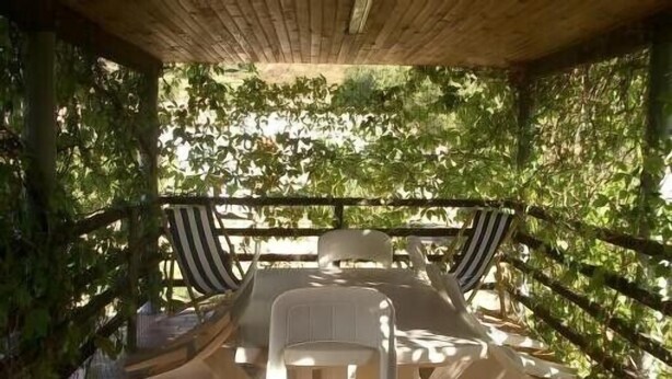 A covered outdoor seating area with white plastic chairs and a table, surrounded by lush greenery and a wooden ceiling. - Chalet between sea and scrub  (Coggia)