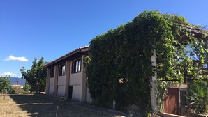 A building with a tiled roof, a concrete pathway leading to the entrance, and a large tree with dense foliage partially obscuring the building. - Chalet between sea and scrub  (Coggia)