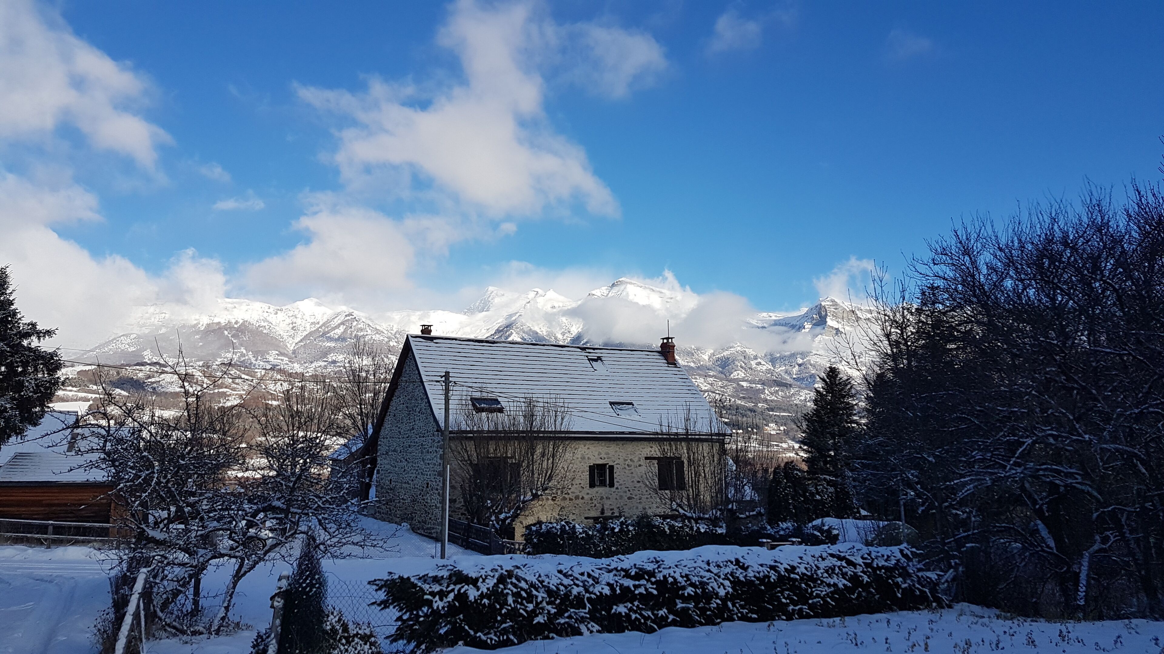 Eksteriør