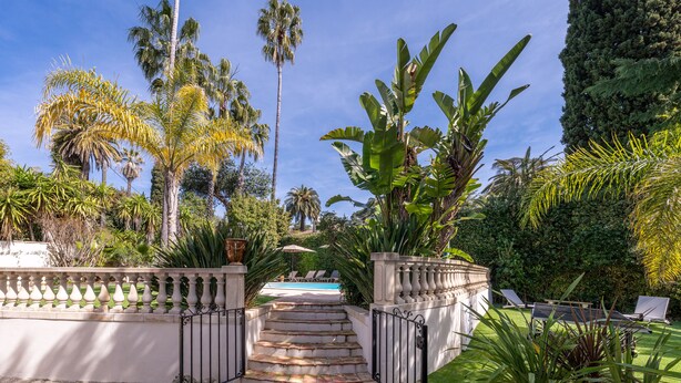 A garden with a pool, palm trees, and a staircase leading to a pool area. - Villa in Cannes 300 meters form the sea - 5 bedrooms, garden and swimming pool (Cannes)