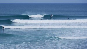 A beach with multiple surfers and waves.