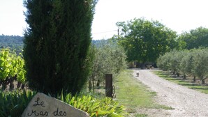A rural road with a stone marker reading "Le Mas des Pigeonniers" and a dog walking away. - Traditional Provencal gite, offering quietness and serenity (Mazan)