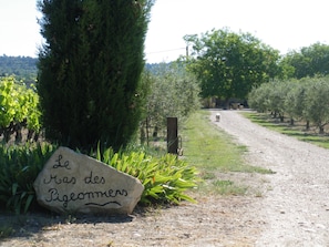 Terrain de l’hébergement 