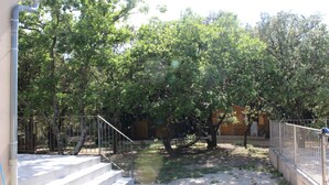 A set of outdoor steps leading to a covered area with a metal railing, surrounded by trees and a gravel path.