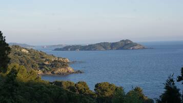 Plage à proximité, chaises longues