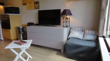 Téléviseur, lecteur de DVD, livres, chaîne audio