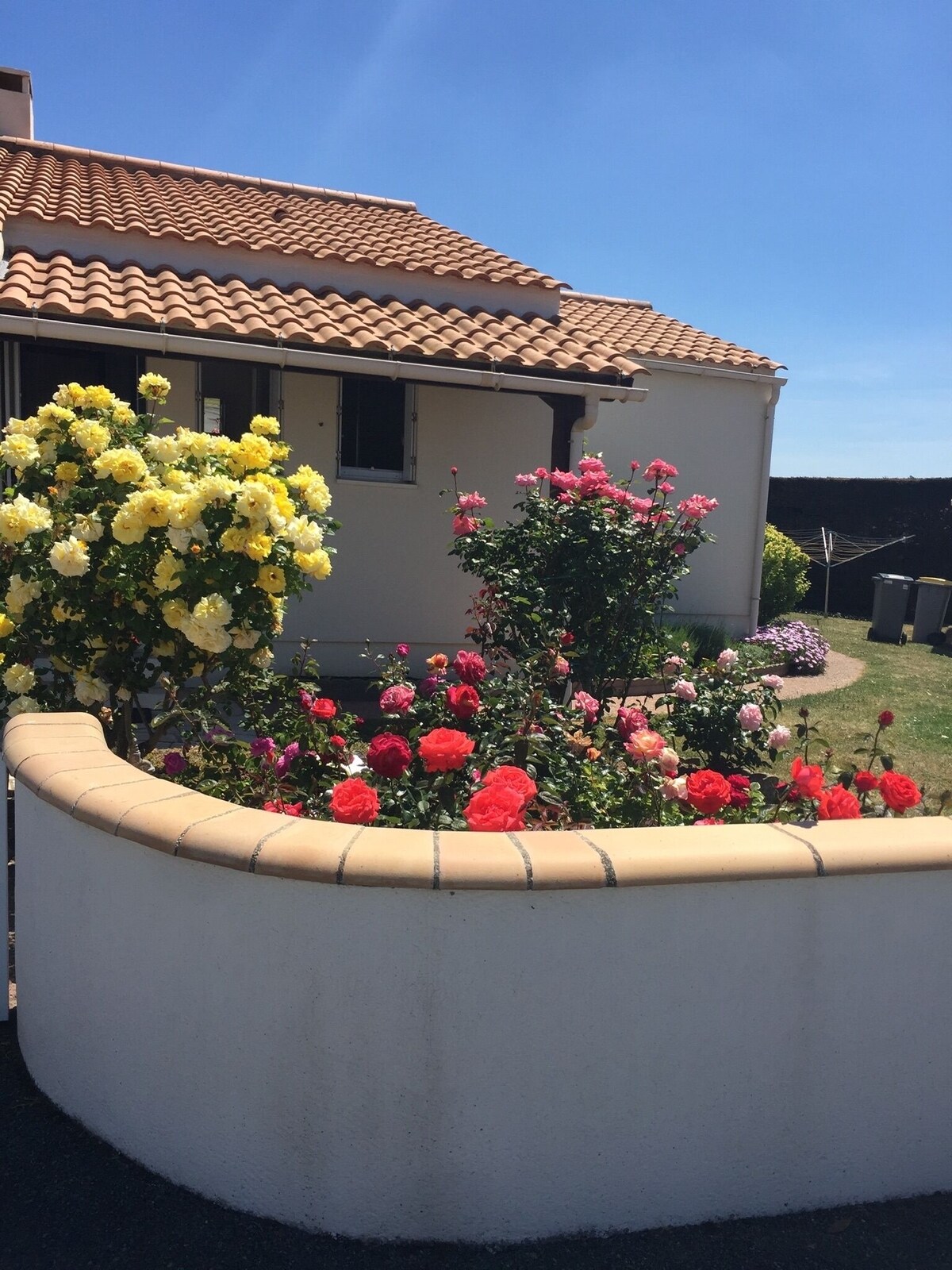 Imagen de perfil del propietario o de la propietaria