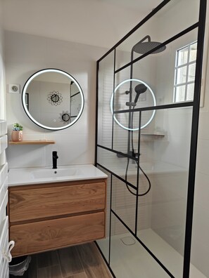 Combined shower/bathtub, hair dryer, toilet paper