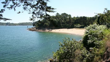 Beach nearby, sun loungers