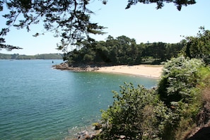 Playa en los alrededores y camastros 
