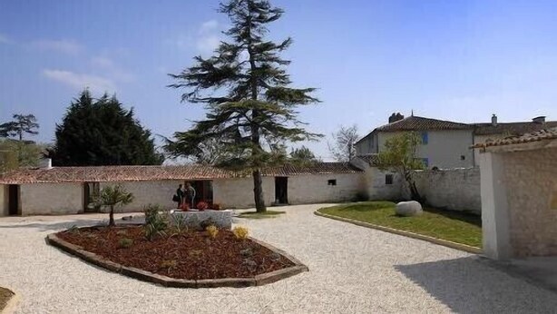 Un pati amb un gran pi, un jardí petit i un edifici amb teulada de rajol.