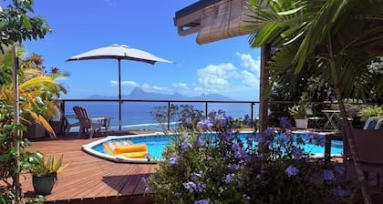 Cozy bungalow with exceptional ocean and Moorea views