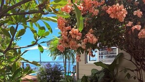 Un jardin avec une piscine, un bateau et une vue sur l’océan.