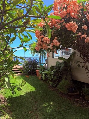 Property grounds - Cozy bungalow with exceptional ocean and Moorea views (Punaauia)