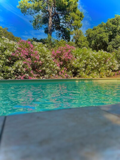 Villa Stellalilou in the heart of the maquis, close to mountains, rivers and beaches