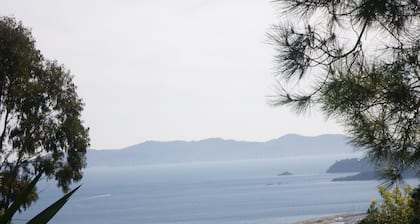 Spacious ground floor of villa, magnificent sea view, terrace , enclosed parking