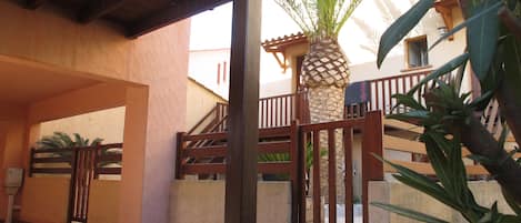 A courtyard with a wooden gate, a palm tree, and a tiled floor.