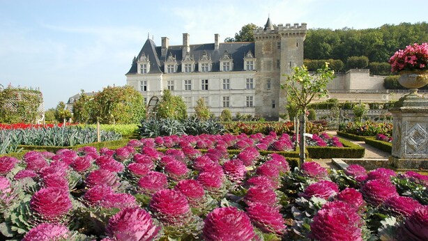 A historic building with a symmetrical facade and a tower. - Haven of peace, sweet home, swimming pool, 7 beds between Tours and Poitiers (Senillé-Saint-Sauveur)