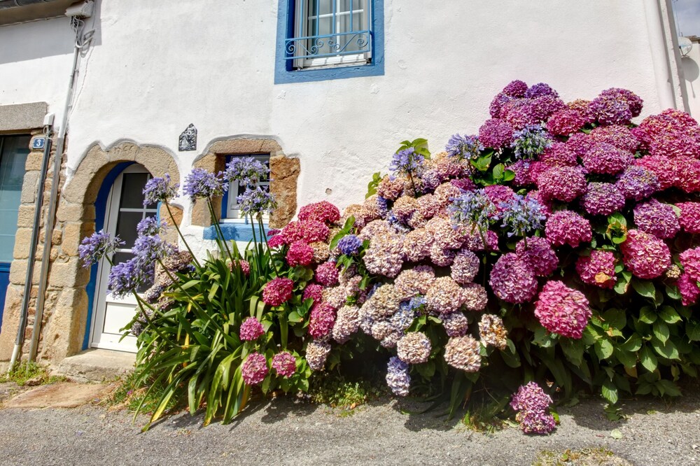 House of fisherman 3 ears Gites de France on the port of Saint Goustan in Auray