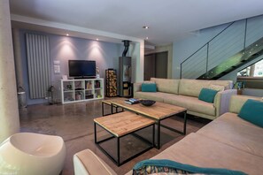 TV, fireplace, DVD player, books