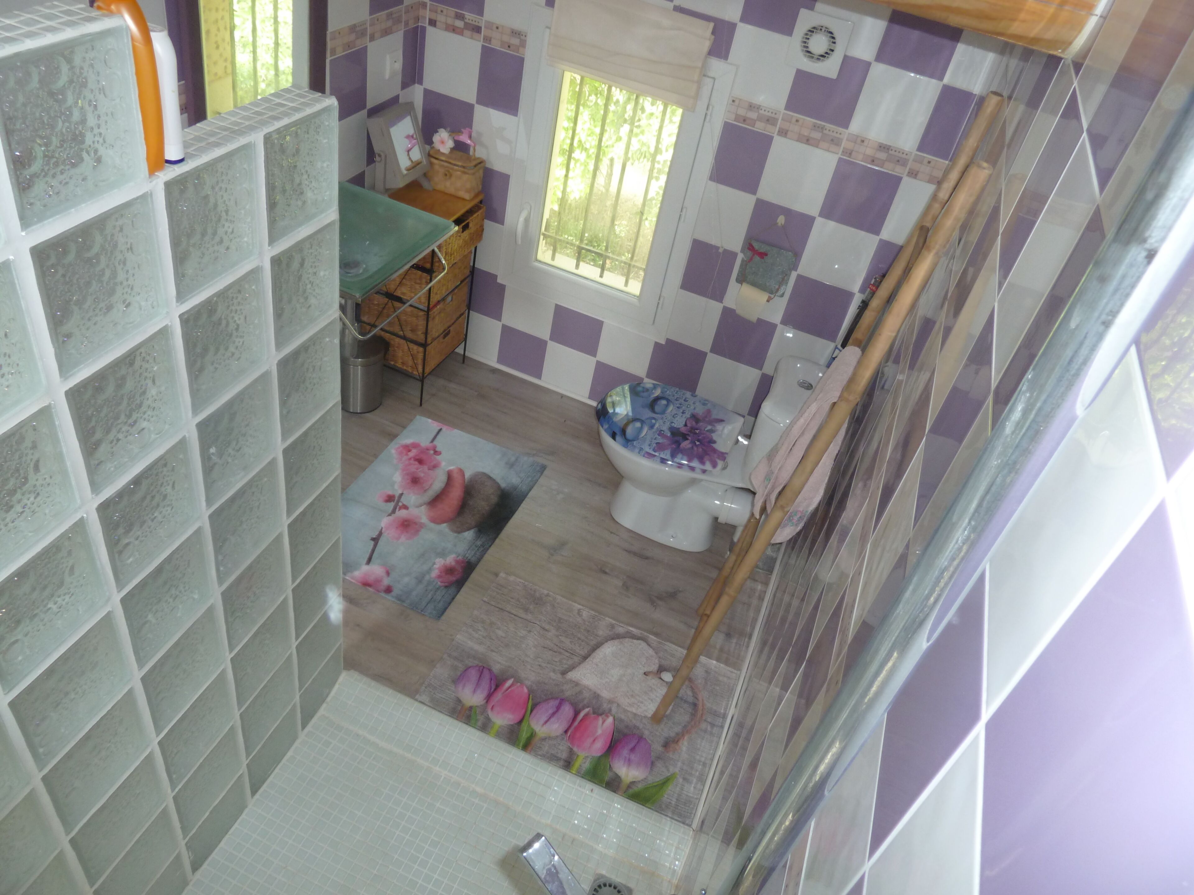 Between vineyards and garrigues