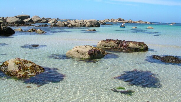 A beach with clear water, rocks, and seaweed. - 3-star seaside villa, sleeps 7, 150 m from the beach and the GR34 trail. Large, enclosed garden (Plounéour-Brignogan-Plages)