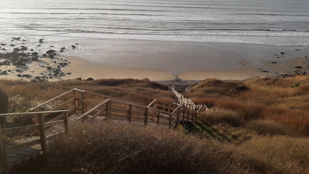 A coastal view with a wooden staircase leading down to the beach, surrounded by dry grass.