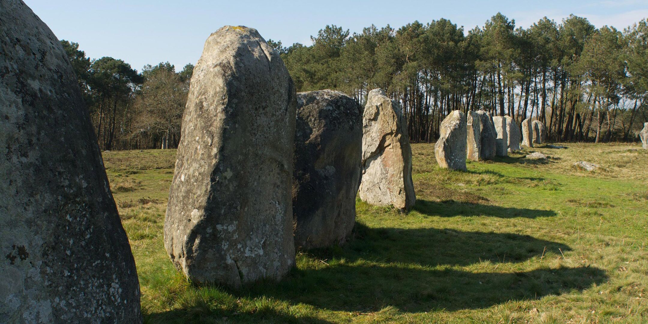 A series of large standing stones in a grassy field with trees in the background.