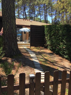 Property grounds - Cottage in the heart of the pines (Lacanau Océan)