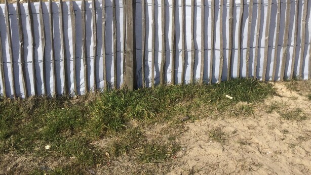 A beach with a wooden fence in the foreground and the ocean in the background. - Cottage in the heart of the pines (Lacanau Océan)