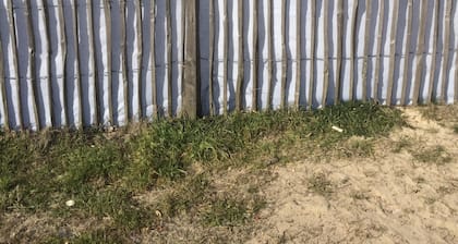 Maisonette im Herzen der Kiefern