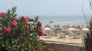 A beach with umbrellas and chairs, a boat in the water, and pink flowers in the foreground.