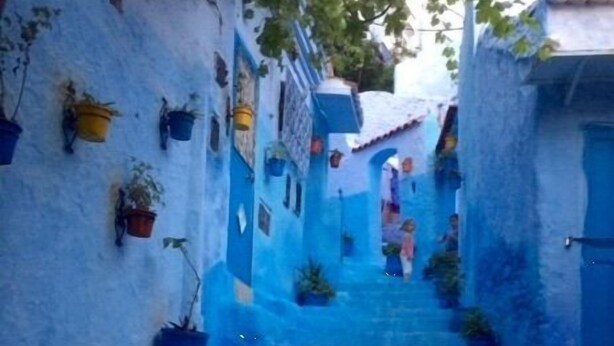 A narrow, blue-painted stairway leading to a building entrance.