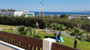 A coastal view with a clear sky, a paved walkway, and a grassy area with palm trees.