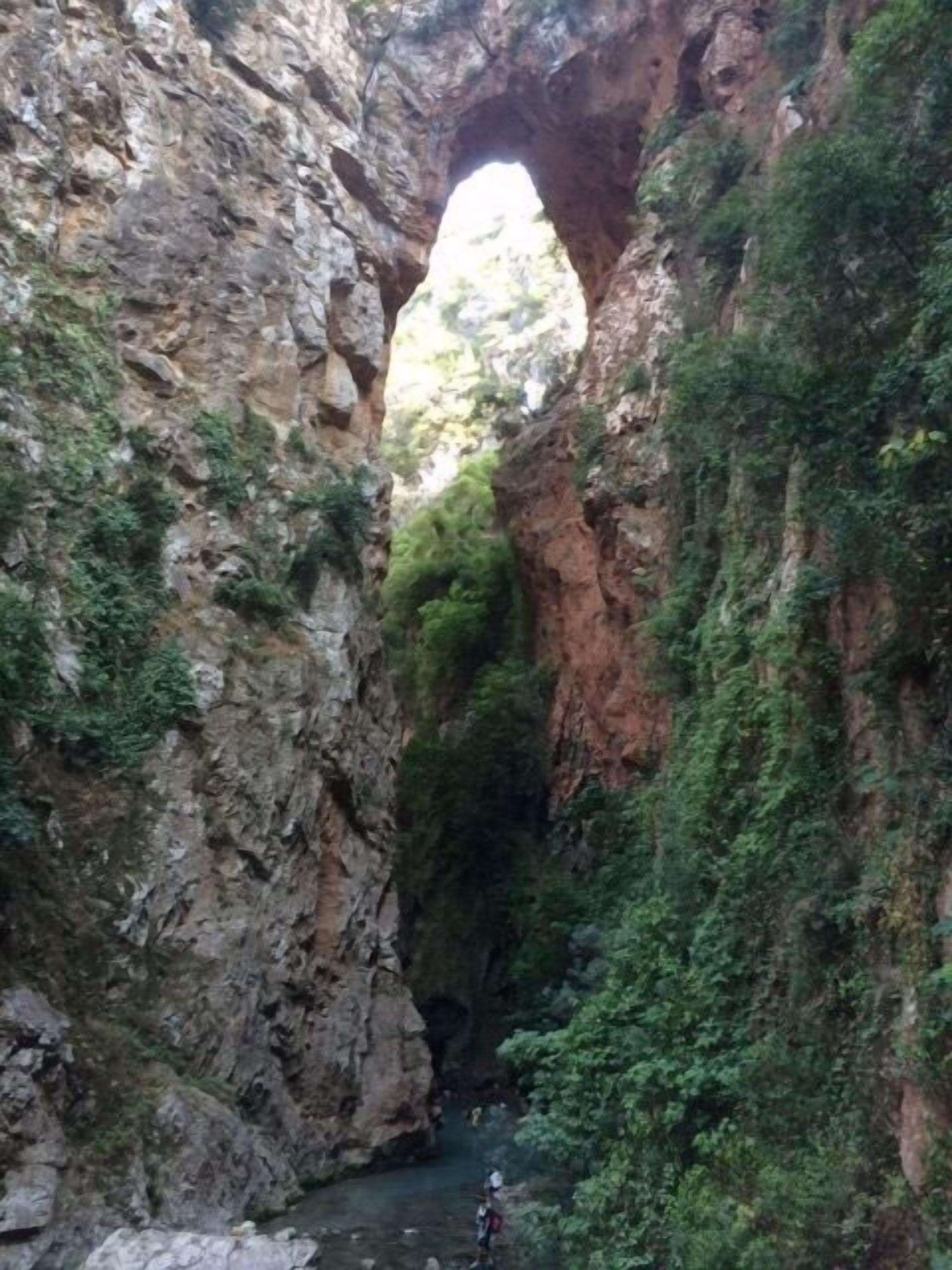 A narrow canyon with a natural archway, dense greenery, and a small stream.