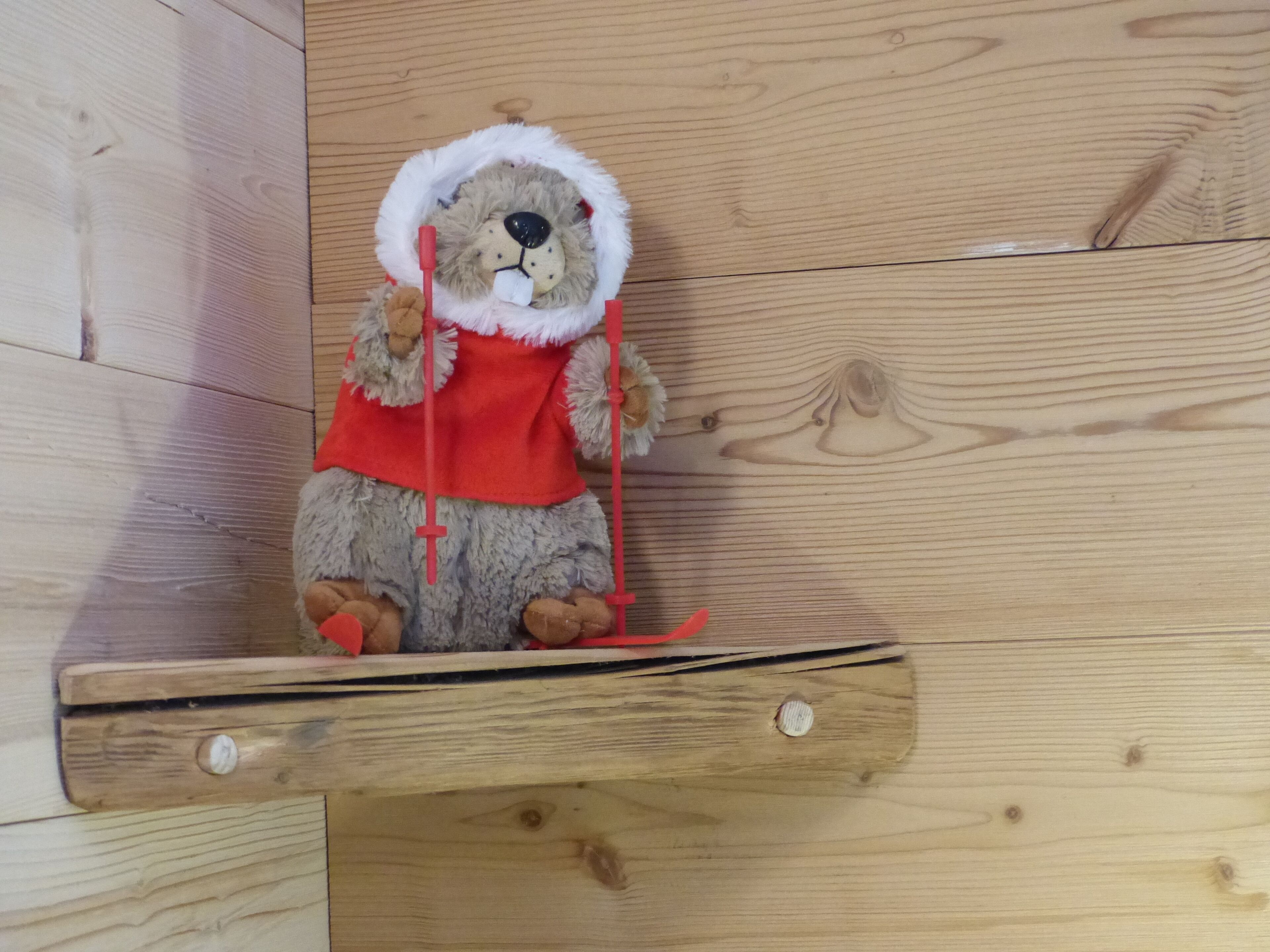 Marmotte
