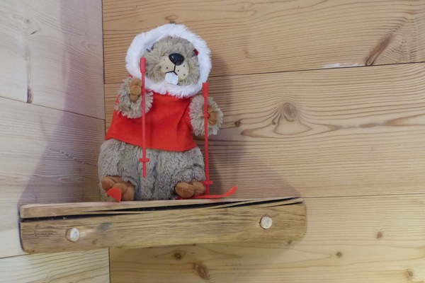 Marmotte