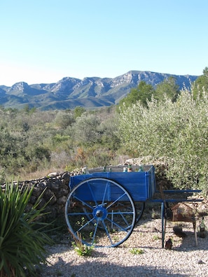 Property grounds - Wonderful country house with private pool (El Perelló)