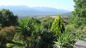 Eine Terrasse mit Blick auf Berge, verschiedene Pflanzen und ein Stuhl.
