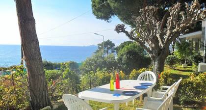 House with garden beach Scudo