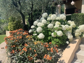 Property grounds - Self-catered villa with private pool in a flowery garden with trees (Vaison-La-Romaine)